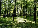 p6290039.jpg