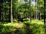 p6290043.jpg