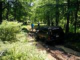 p6290046.jpg