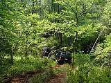 p6290049.jpg
