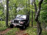 p6290050.jpg