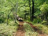 p6290053.jpg
