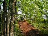 p6290054.jpg