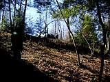 sm_p2240061.jpg
