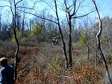 sm_p2240081.jpg