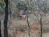 sm_p2240083.jpg
